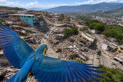 Soaring over disaster's aftermath