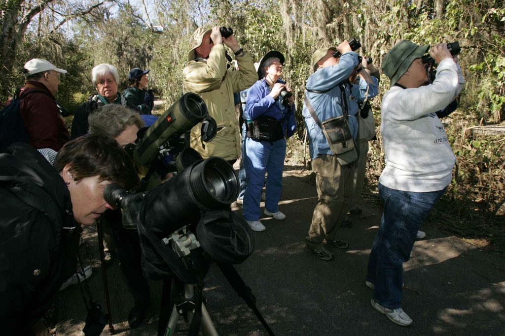 Birdwatching group