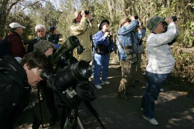 Birdwatching group