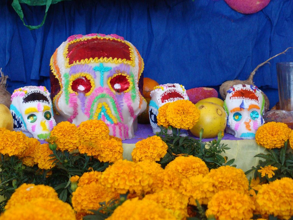 Marigold_Mexico Day of the Dead