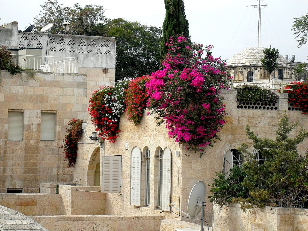 Old Jerusalem flowers on the roof