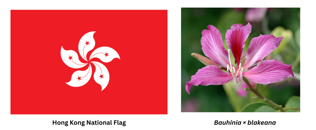 Hong Kong National Flag