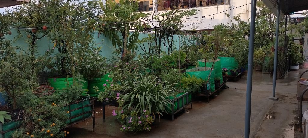 Rooftop Garden_Featured Image