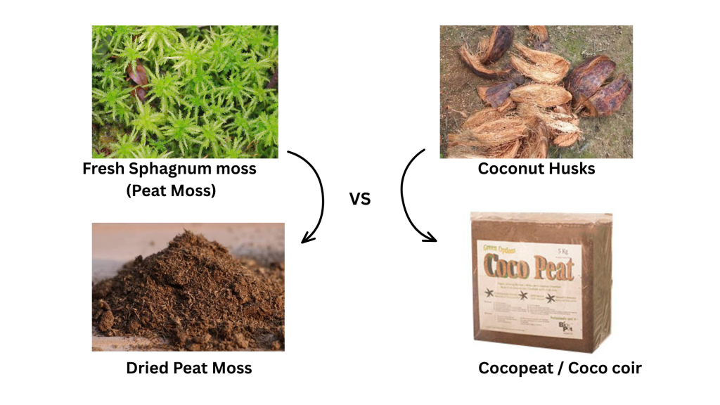 Peat Moss vs Coco Coir