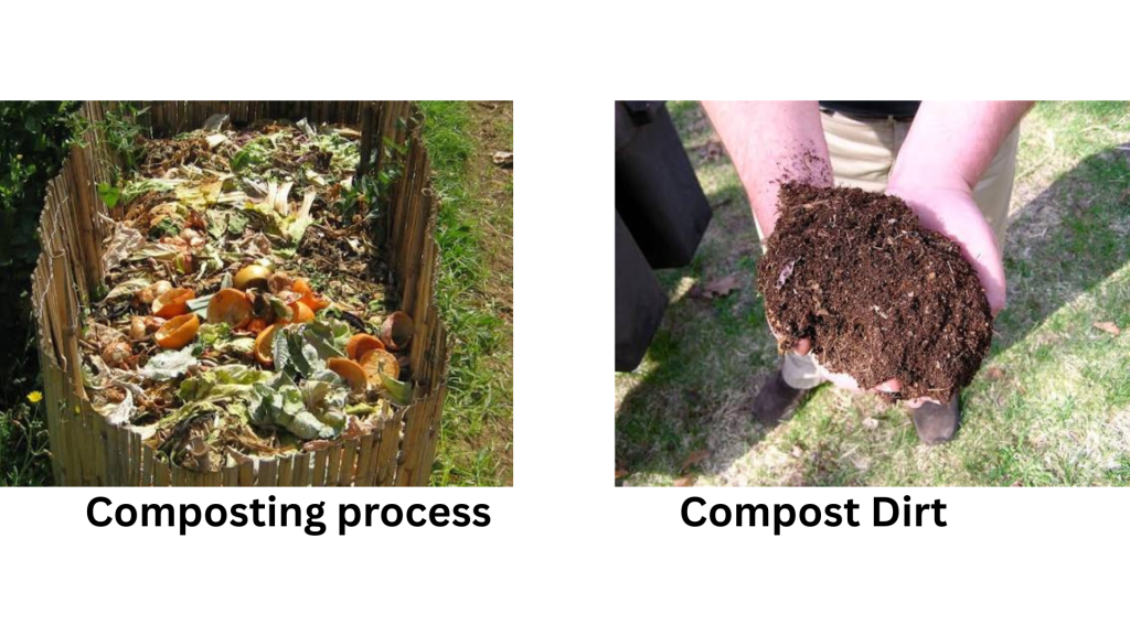 Compost