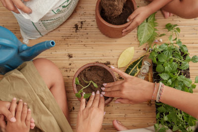 Potting Mix