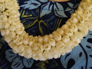 Arabian Jasmine_Lei pikake
